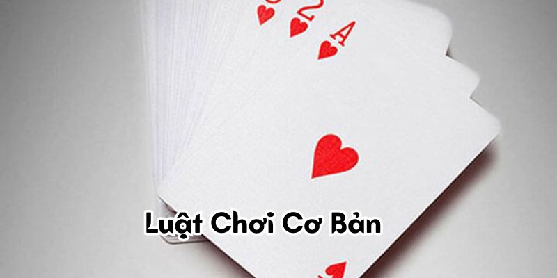 Luật Chơi Cơ Bản Cho Người Mới 