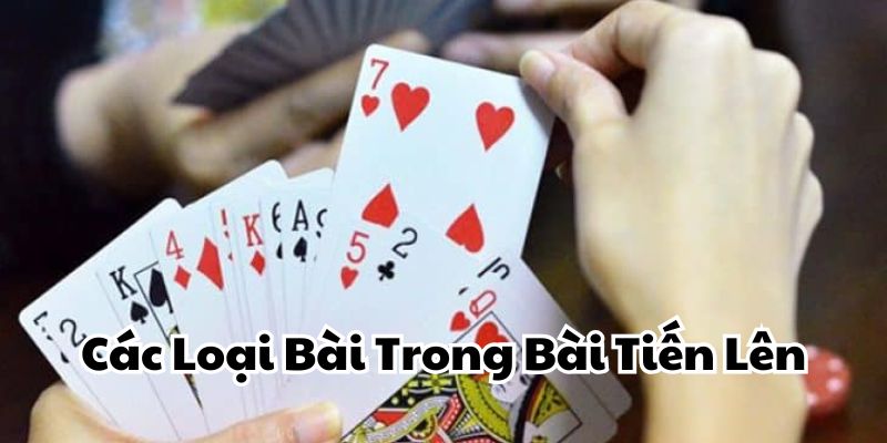 Các Loại Bài Trong Bài Tiến Lên